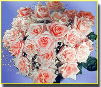 Send flower flowers to Iran send gift to Iran.